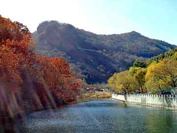 新澳天天开奖资料大全旅游团，克山seo教程